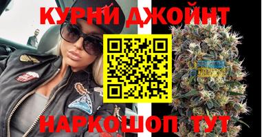 гидропоника Сланцы