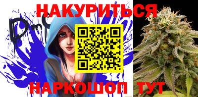 гидропоника Сланцы