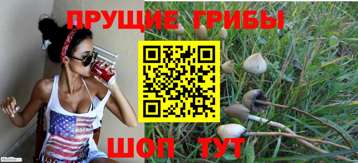 Галлюциногенные грибы Cubensis  Вход с VPN  Надым  Галлюциногенные грибы мухоморы 